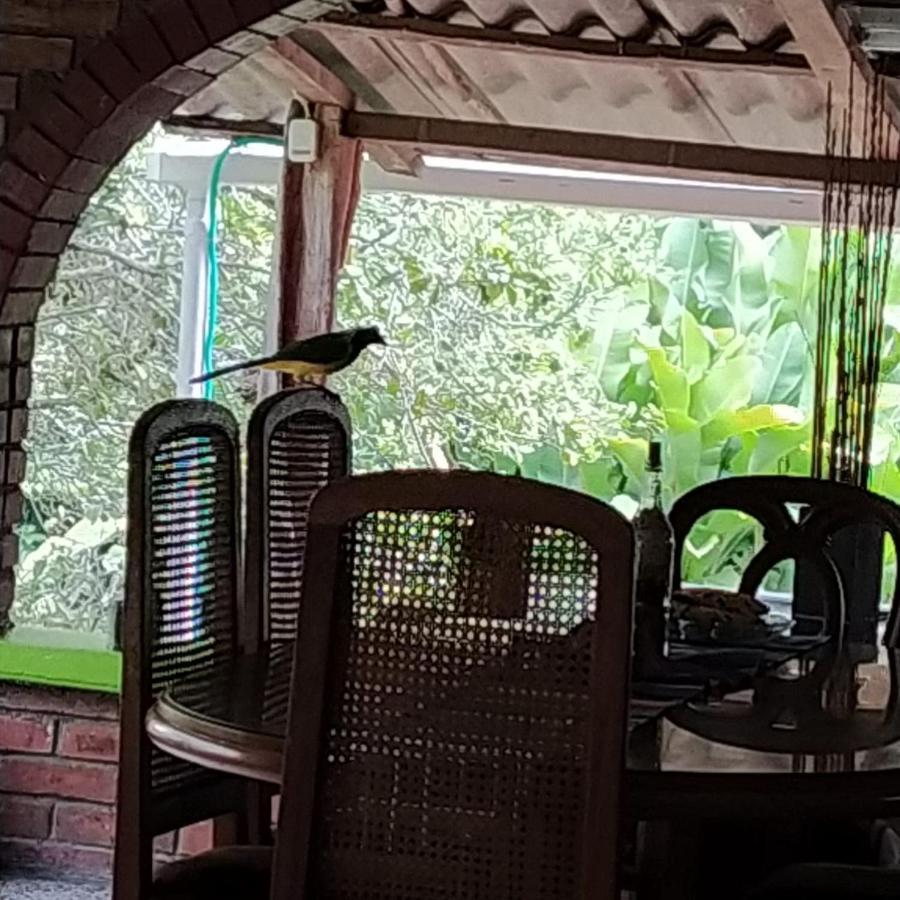 La Acuarela, Posada De La Monita Pereira Bagian luar foto