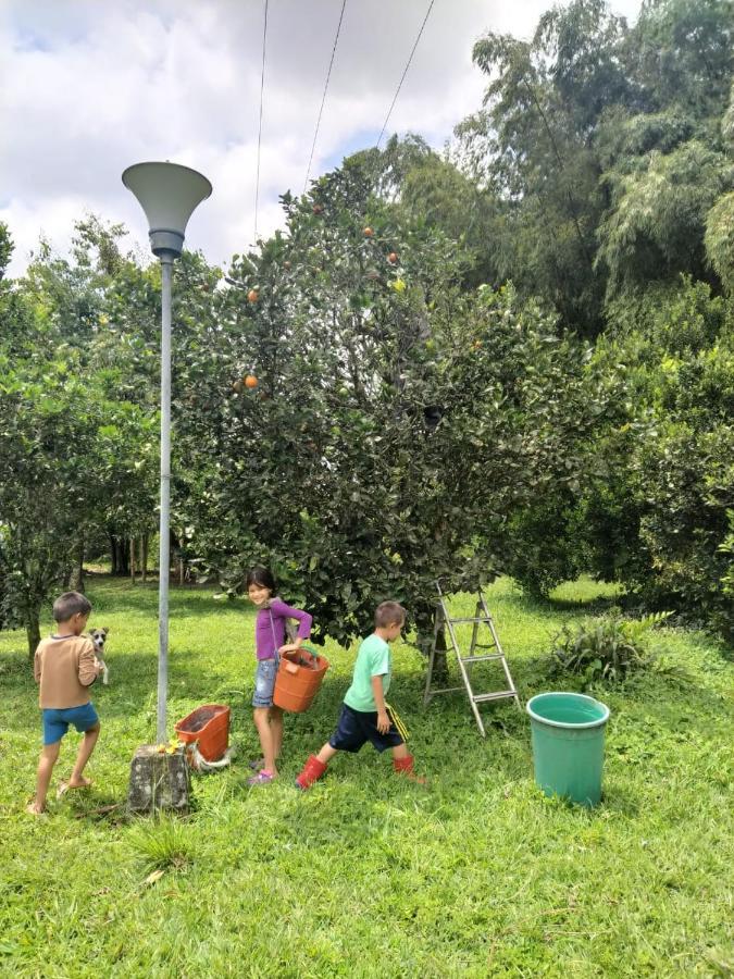 La Acuarela, Posada De La Monita Pereira Bagian luar foto