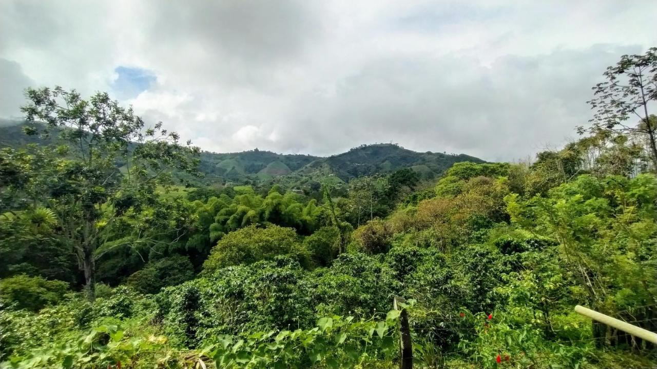 La Acuarela, Posada De La Monita Pereira Bagian luar foto