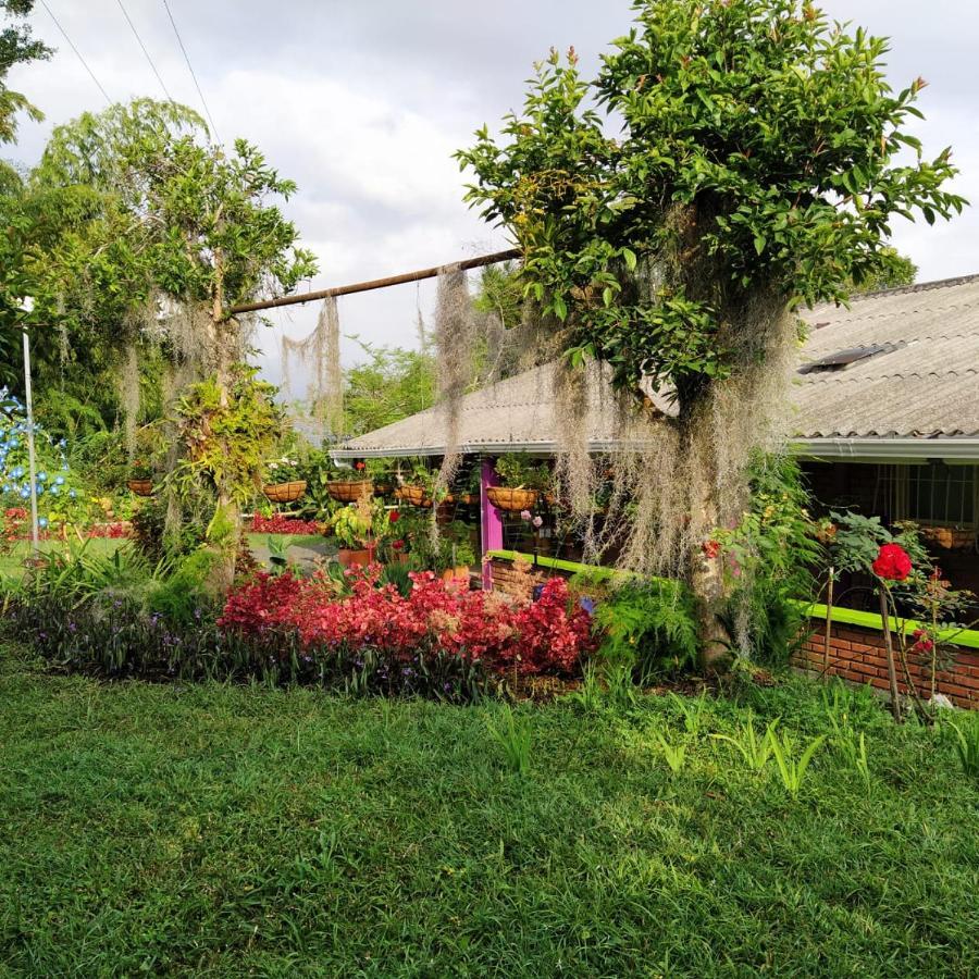 La Acuarela, Posada De La Monita Pereira Bagian luar foto